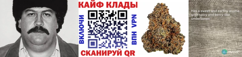 Какие есть наркотики Мегион ГАШИШ  Кокаин  Меф  Alpha PVP  Каннабис 