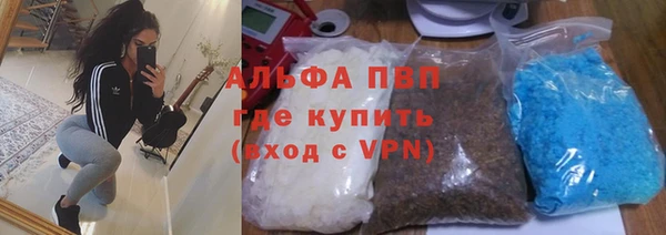 прущий лед Алзамай