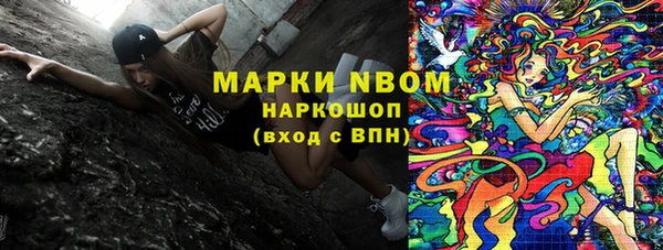 прущий лед Алзамай