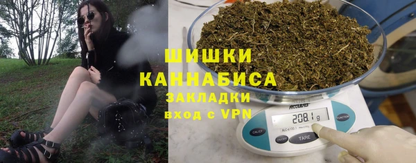 прущий лед Алзамай